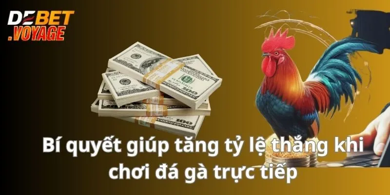 Bí quyết giúp tăng tỷ lệ thắng khi chơi đá gà trực tiếp