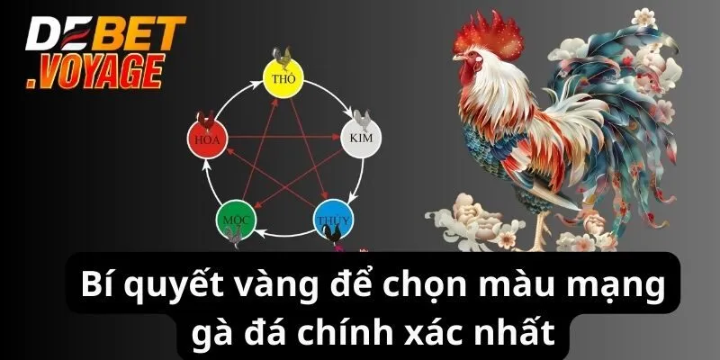 Bí quyết vàng để chọn màu mạng gà đá chính xác nhất