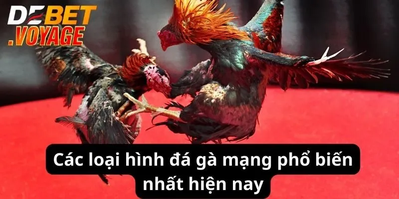 Các loại hình đá gà mạng phổ biến nhất hiện nay