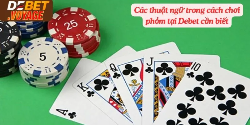 Các thuật ngữ trong cách chơi phỏm tại Debet cần biết