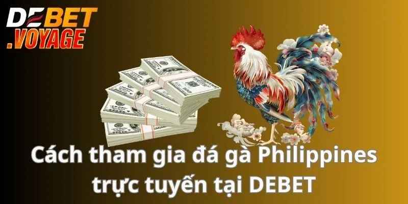 Cách tham gia đá gà Philippines trực tuyến tại DEBET