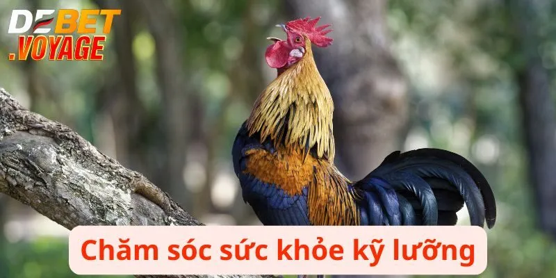 Chăm sóc sức khỏe kỹ lưỡng