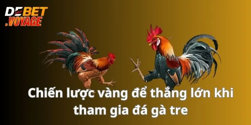 Chiến lược vàng để thắng lớn khi tham gia đá gà tre