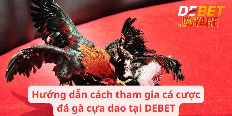 Hướng dẫn cách tham gia cá cược đá gà cựa dao tại DEBET