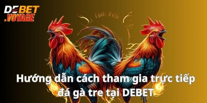 Hướng dẫn cách tham gia trực tiếp đá gà tre tại DEBET