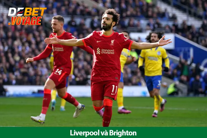 Soi kèo vàng trận Liverpool vs Brighton 22h00 ngày 02/11
