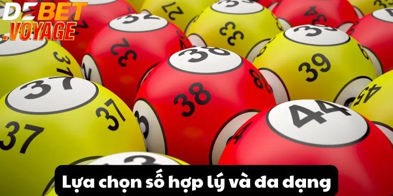 Lựa chọn số hợp lý và đa dạng