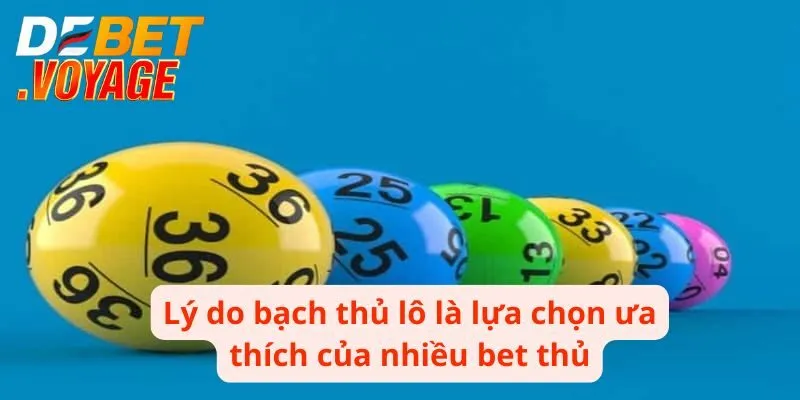 Lý do bạch thủ lô là lựa chọn số 1 của nhiều bet thủ