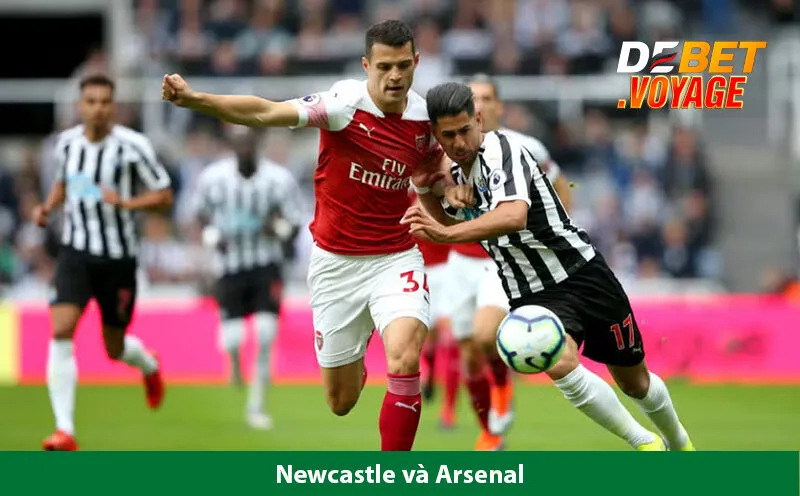 Nhận định bóng đá Newcastle vs Arsenal lúc 19h30 ngày 02/11