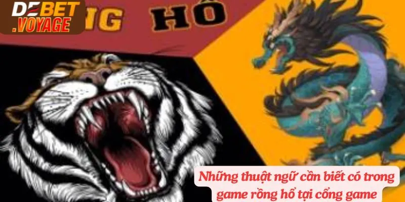 Những thuật ngữ cần biết có trong game rồng hổ tại cổng game