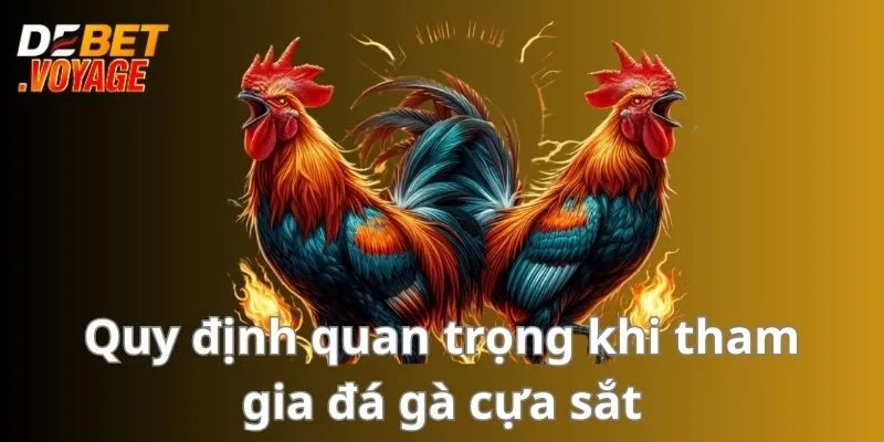 Quy định quan trọng khi tham gia đá gà cựa sắt