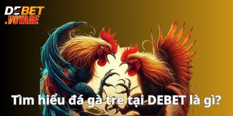Tìm hiểu đá gà tre tại DEBET là gì?