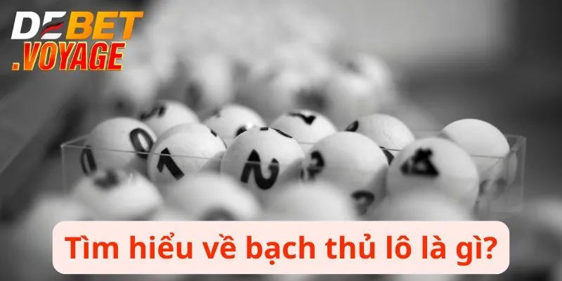 Bạch thủ lô là gì?