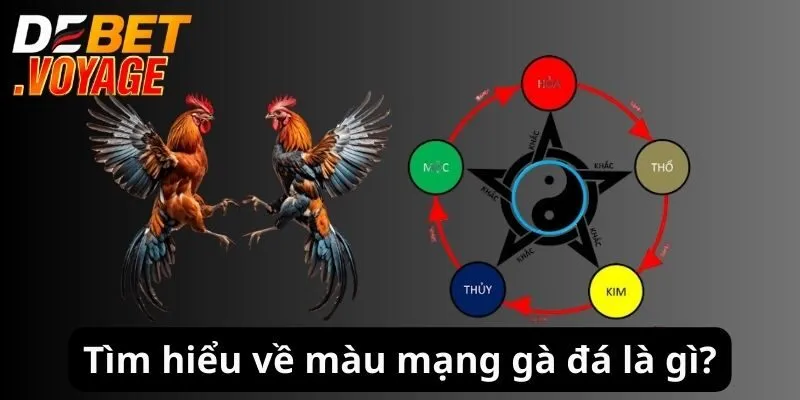Tìm hiểu về màu mạng gà đá là gì?