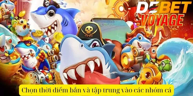 Chọn thời điểm bắn và tập trung vào các nhóm cá