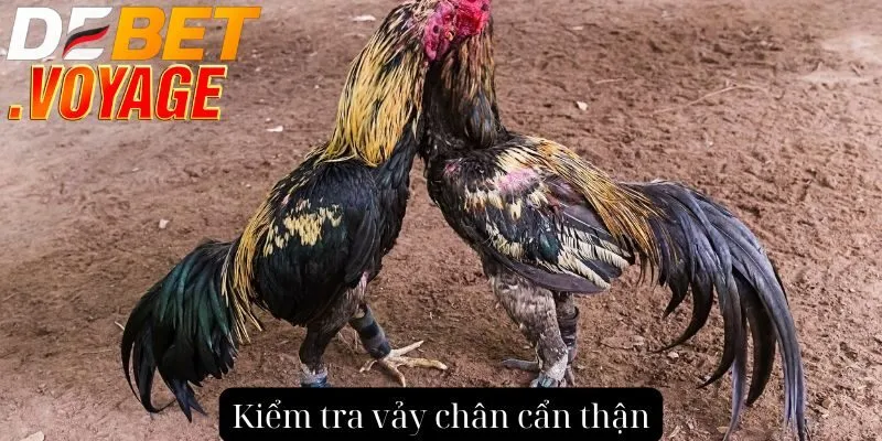Kiểm tra vảy chân cẩn thận