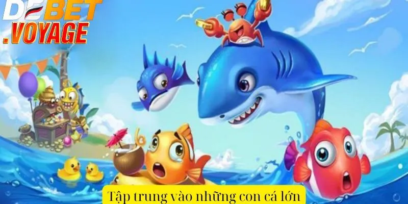 Tập trung vào những con cá lớn