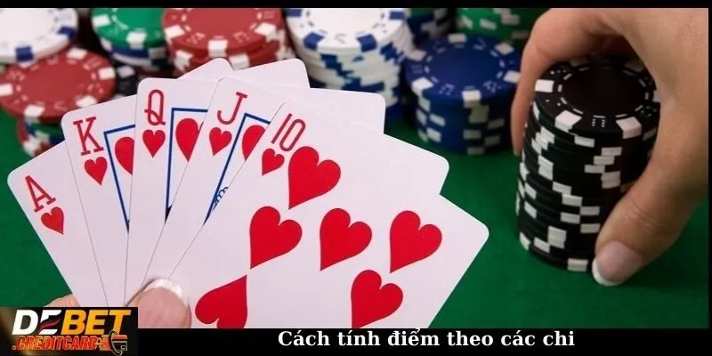 Cách tính điểm theo các chi