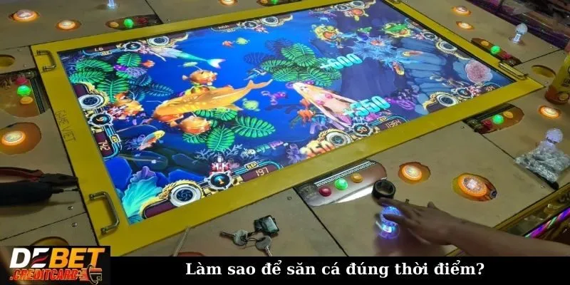 Làm sao để săn cá đúng thời điểm?