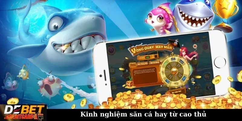 Kinh nghiệm săn cá hay từ cao thủ