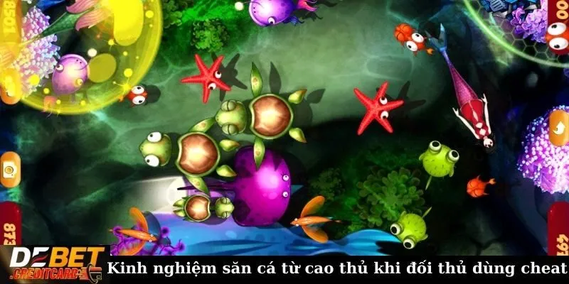 Kinh nghiệm săn cá từ cao thủ khi đối thủ dùng cheat