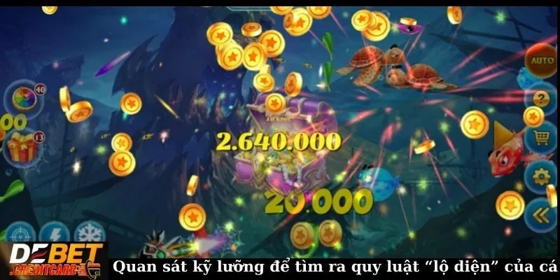 Quan sát kỹ lưỡng để tìm ra quy luật “lộ diện” của cá